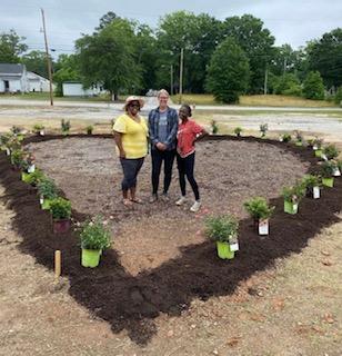 SWEETHEART PARK ROSE BED